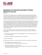 21st Century Electricity System CEO Forum - Michigan